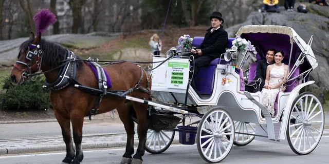 New York Central Park Carriage Ride - Image 1