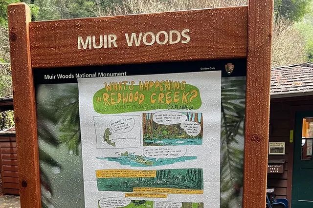 San Francisco Muir Woods and Sausalito Tour - Image 3