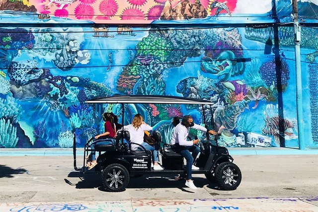 Miami Graffiti Golf Cart Tour - Image 3