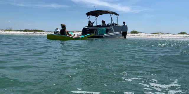 Clearwater Beach Private Pontoon Boat Tour - Image 6