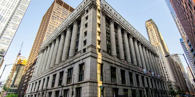 Chicago Architecture Walking Tour - Image 3
