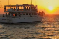 Destin Dolphin Cruise at Sunset thumbnail 1