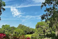 Charleston Middleton Place Guided Tour with Lunch thumbnail 4