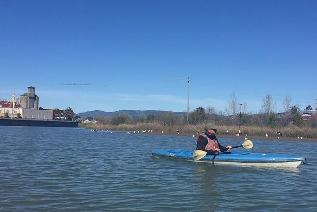 Napa Valley River History Kayak Tour - Image 5