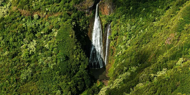 Kauai Helicopter Tour Doors-Off 1 hr - Image 3