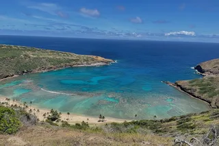 Oahu Pearl Harbor and Scenic Tour