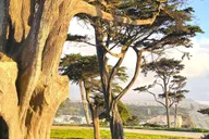 San Francisco Wild Coast Walking Tour thumbnail 6