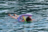 Miami Snorkeling Adventure thumbnail 5