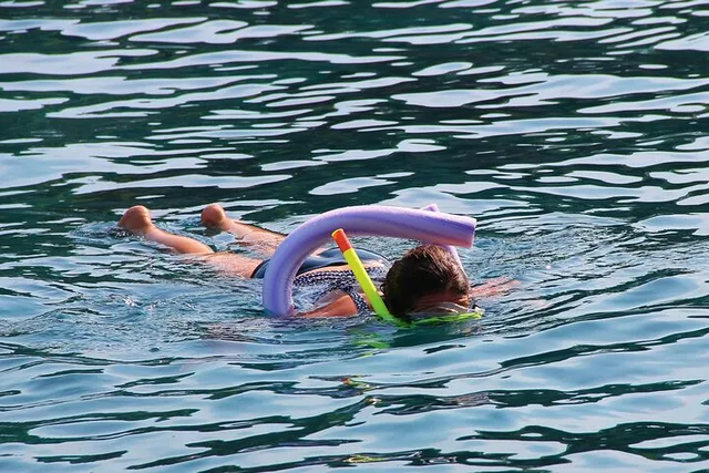 Miami Snorkeling Adventure - Image 5