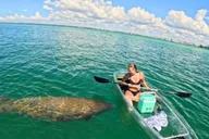 Sarasota Clear Kayak Mangrove Tunnel Tour thumbnail 1