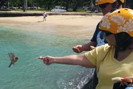 Honolulu Circle Island Tour with Dole and Rum Distillery thumbnail 5