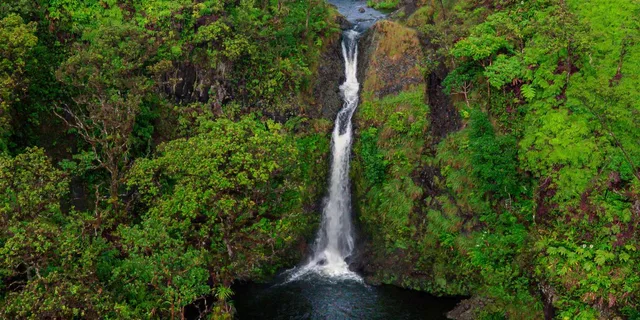 Maui Hana Rainforest Helicopter Tour 50 Min - Image 4