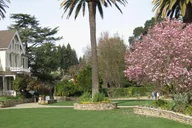 San Francisco Coastal Redwoods and Wine Country Tour thumbnail 6