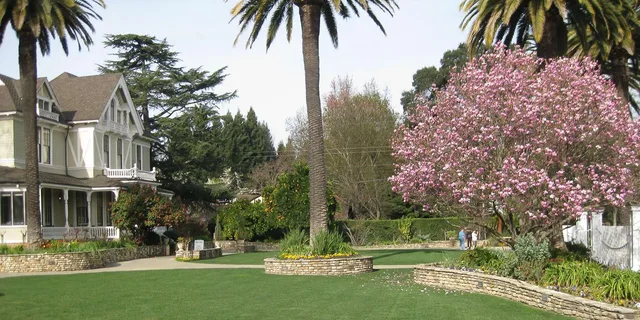 San Francisco Coastal Redwoods and Wine Country Tour - Image 6