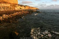 San Diego Beaches Private Driving Tour thumbnail 4
