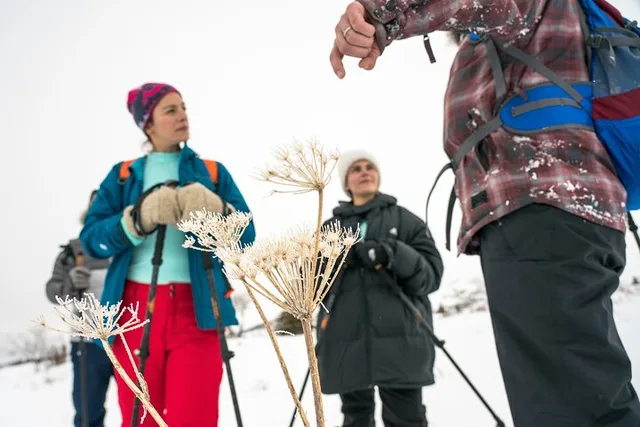 Anchorage Snowshoeing Adventure - Image 5