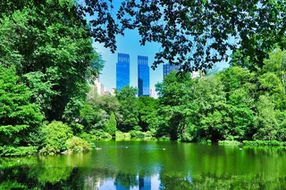 New York Family Walking Adventure