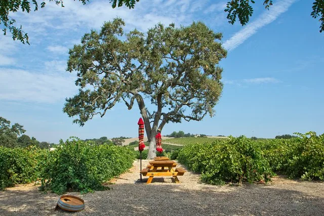 Morro and Cayucos Wine Tasting Tour - Image 3