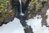 Seattle Mt. Rainier National Park Guided Tour thumbnail 4