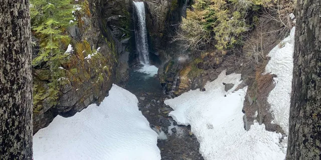 Seattle Mt. Rainier National Park Guided Tour - Image 4