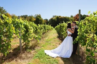 New York Wine Tour to Hamptons