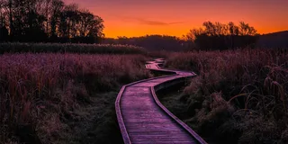 New York City Appalachian Mountains Private Hiking Tour
