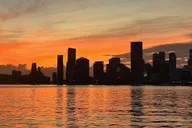 Miami Skyline Cruise Millionaire Homes & Star Island thumbnail 6