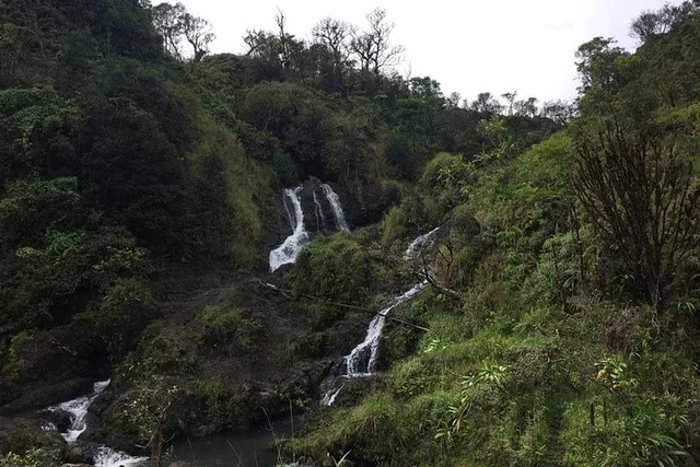 Oahu to Maui Road to Hana Day Trip - Image 2