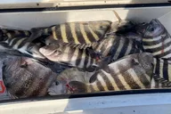 St. Augustine Fishing Charter thumbnail 5