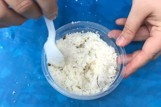 Body Scrub Making Class - Image 1