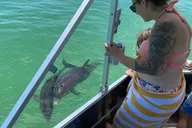 St. Petersburg Shell Key Island Adventure thumbnail 5