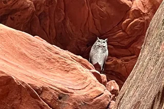 Kanab UTV Tour to Peek-a-Boo Slot Canyon