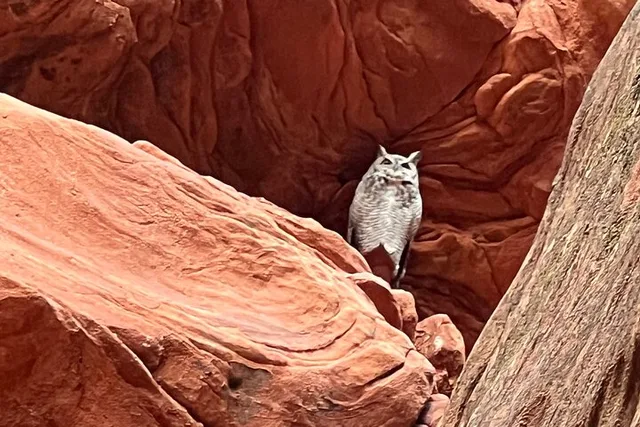 Kanab UTV Tour to Peek-a-Boo Slot Canyon - Image 1