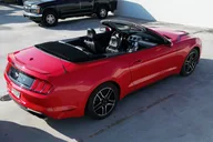 Miami Mustang Convertible Rental thumbnail 1