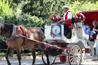 New York City Horse Carriage Tour in Central Park thumbnail 3