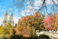 New York Central Park Pedicab Tour with Photo Stops 1-2 hr thumbnail 5