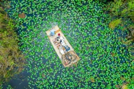 Miami Everglades Airboat Tour with Pickup 1 hr thumbnail 4