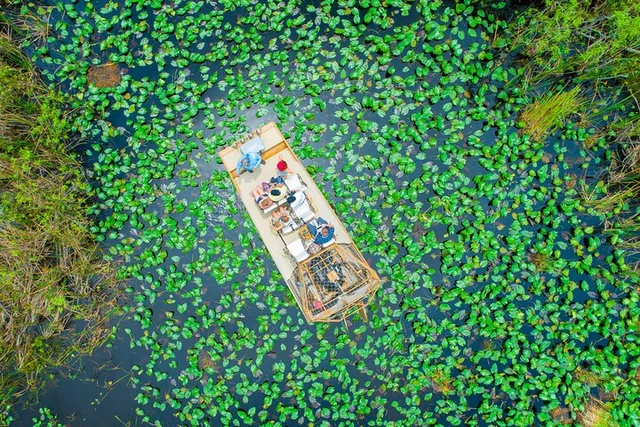 Miami Everglades Airboat Tour with Pickup 1 hr - Image 4