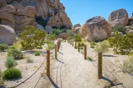Joshua Tree Hidden Valley Self-Guided Walking Tour thumbnail 1