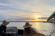 Cocoa Village Dolphin and Manatee Pontoon Tour thumbnail 6