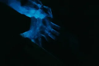 Florida Bioluminescent Kayak Tour