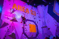 Brooklyn Adventure Park Experience thumbnail 5