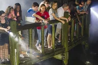 Orlando Gatorland Flashlight Tour at Night 1.5 hr thumbnail 1