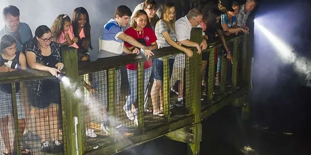 Orlando Gatorland Flashlight Tour at Night 1.5 hr - Image 1