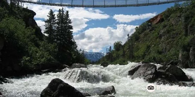 Skagway White Pass and Yukon Suspension Bridge Tour - Image 1