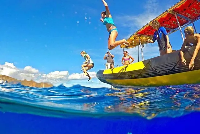 Maui Snorkel & Turtle Tour - Image 5