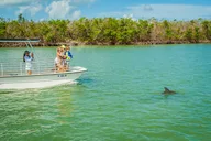 Marco Island Dolphin Sightseeing Tour thumbnail 3