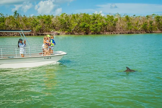 Marco Island Dolphin Sightseeing Tour - Image 3