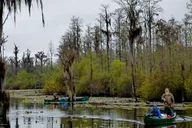 Orlando Alligator Kayak Experience thumbnail 5
