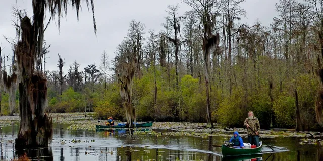 Orlando Alligator Kayak Experience - Image 5
